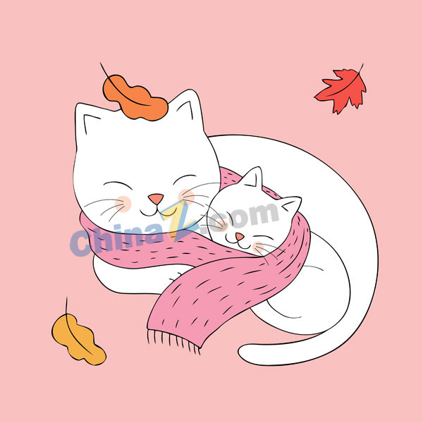 猫嘴臭是什么原因？揭秘猫咪口臭的真相